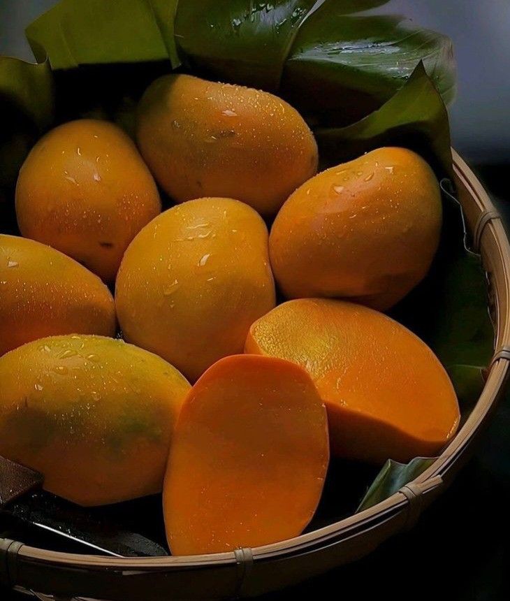 how to ripen mangoes - aura root farms
